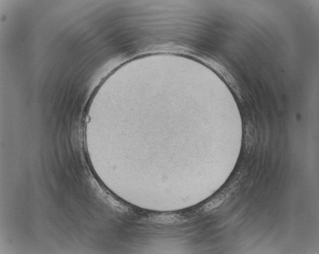 X0000062870998200602101647