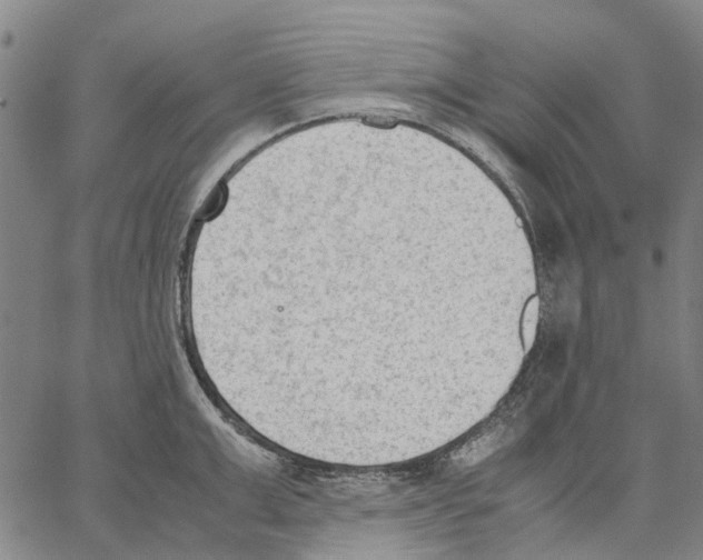 X0000062870999200602101647