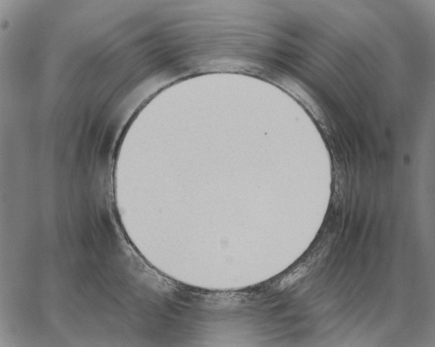 X0000062871000200602101647