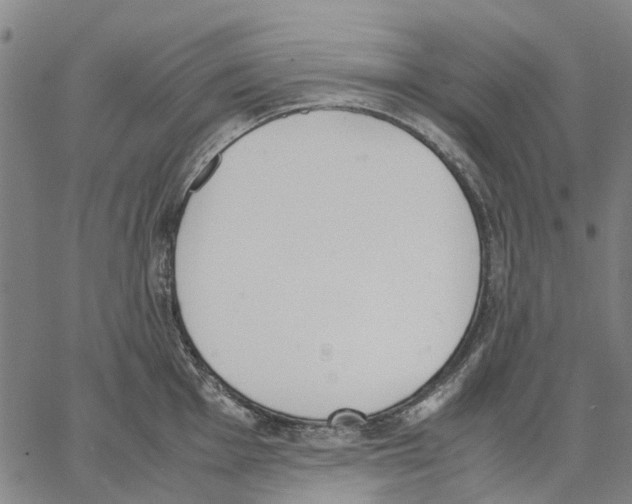 X0000062871001200602101647