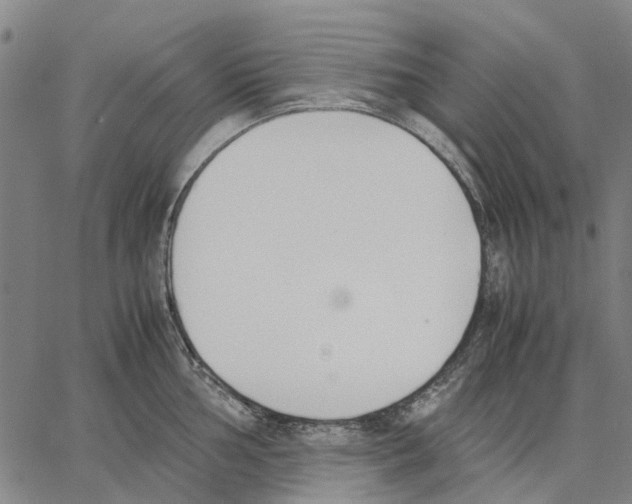 X0000062871002200602101647