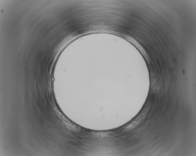 X0000062871004200602101647