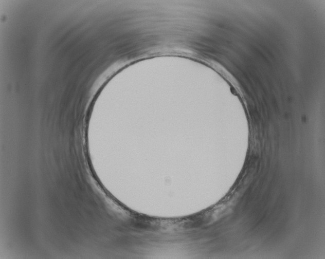 X0000062871005200602101647