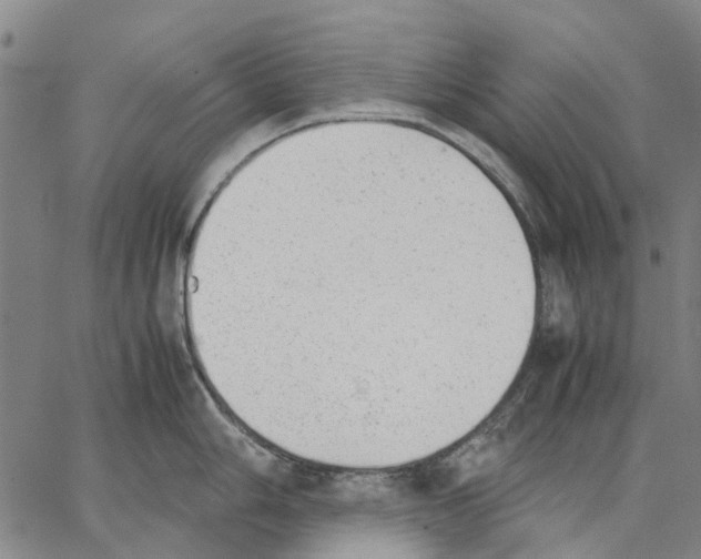 X0000062871006200602101647