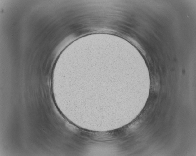 X0000062871007200602101647