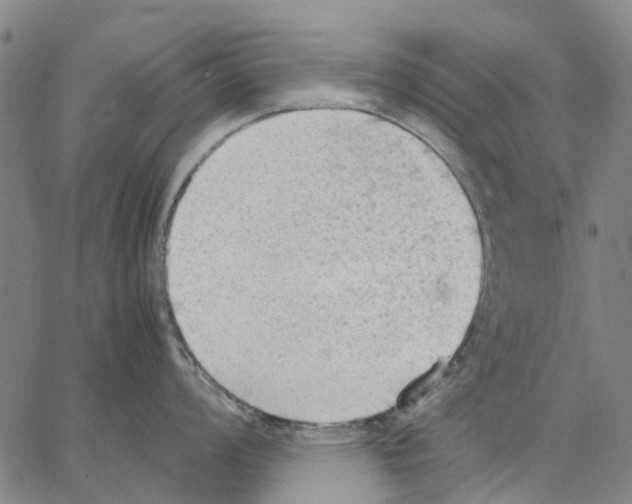 X0000062871008200602101647