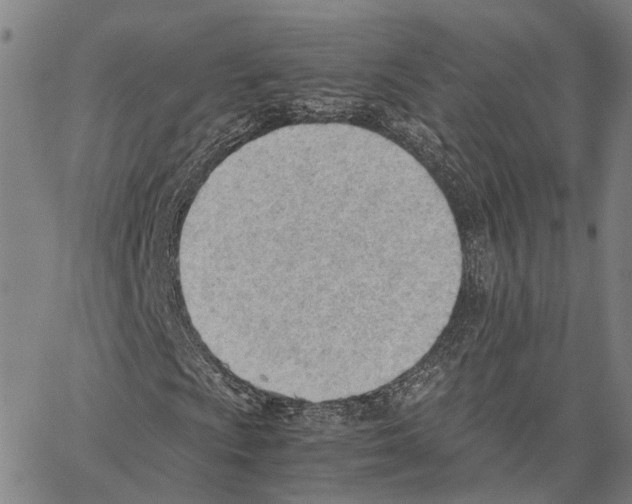 X0000062871009200602101646