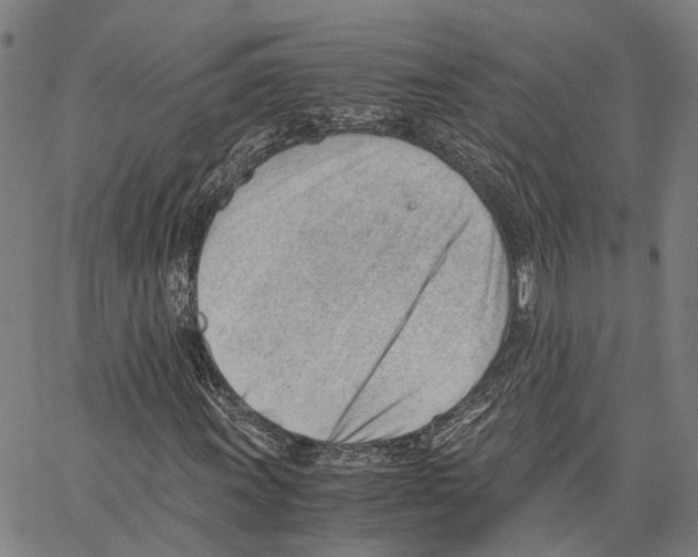 X0000062871011200602101646