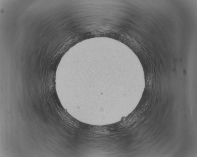 X0000062871012200602101646