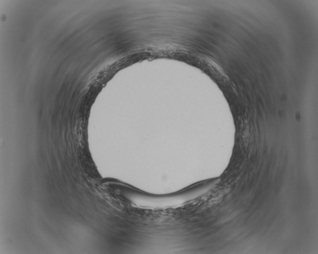 X0000062871016200602101646