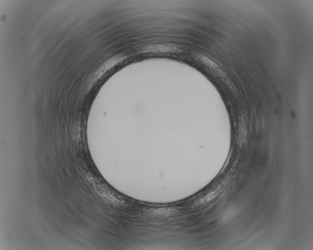 X0000062871017200602101646