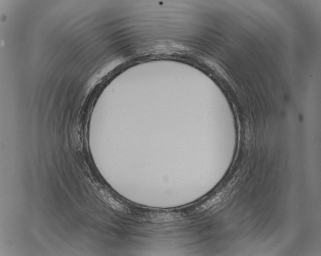 X0000062871018200602101646