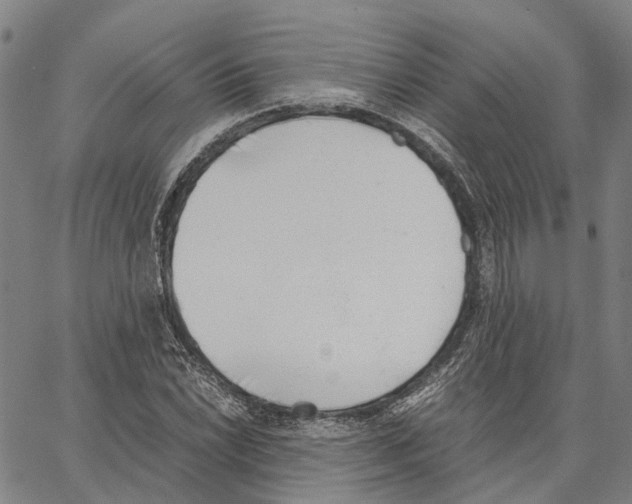 X0000062871022200602101646