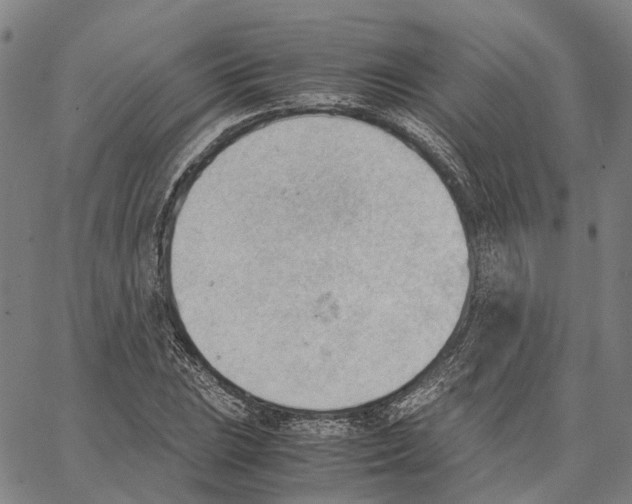 X0000062871023200602101646