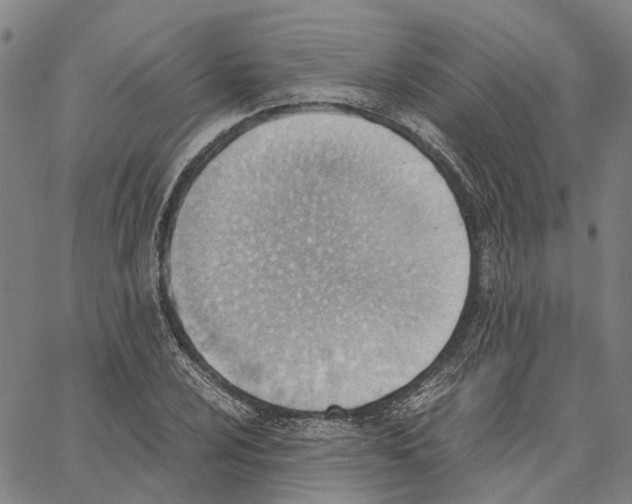 X0000062871024200602101646