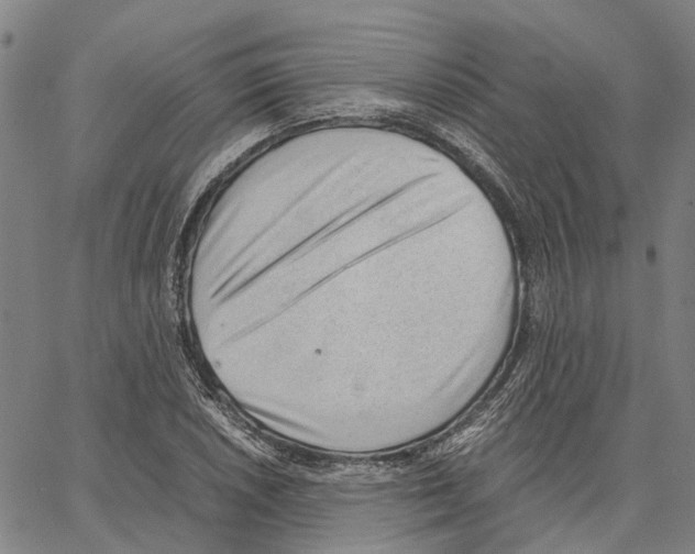 X0000062871026200602101646