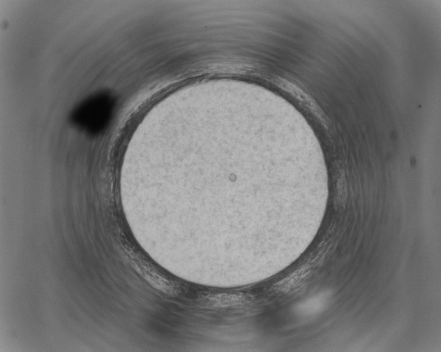 X0000062871027200602101646