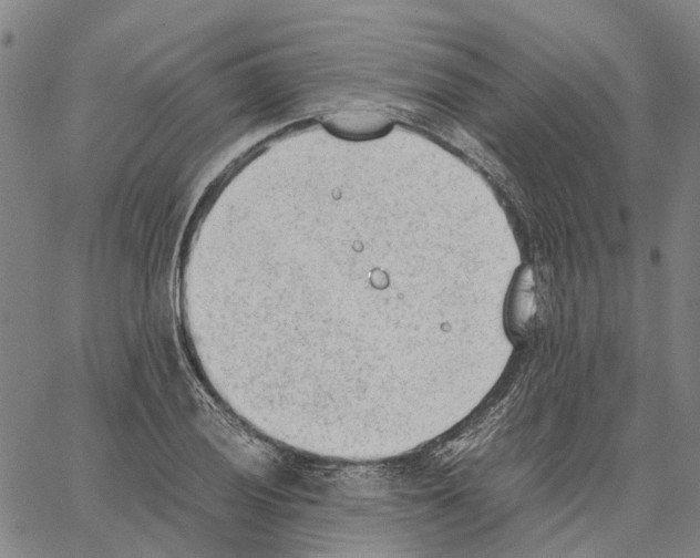 X0000062871028200602101646