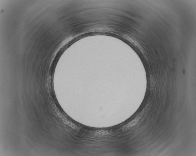 X0000062871029200602101646