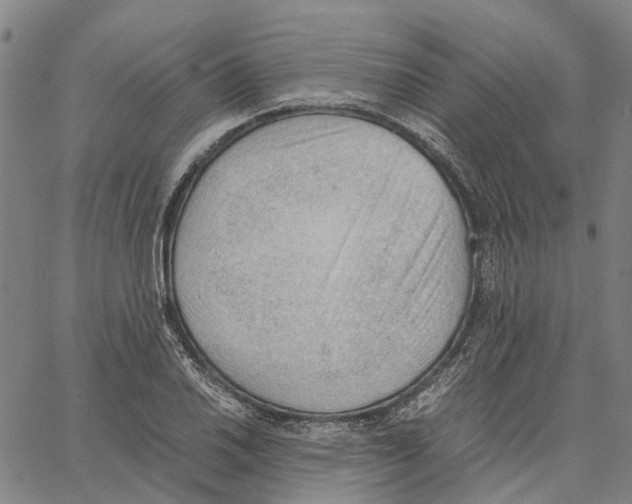 X0000062871030200602101646