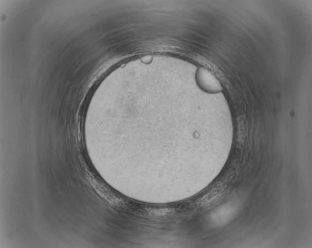 X0000062871031200602101646