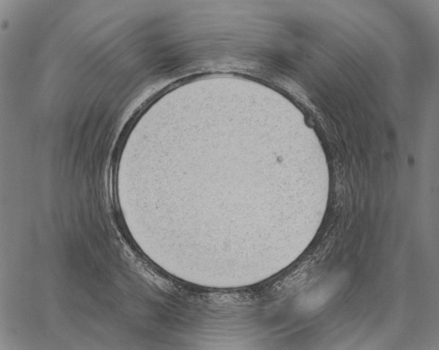 X0000062871032200602101646