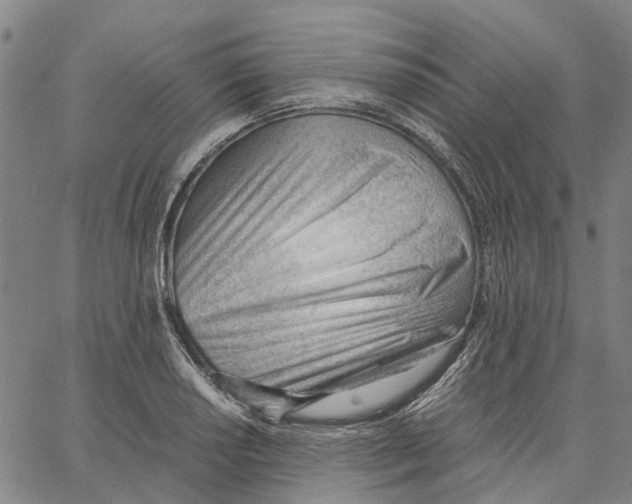 X0000062871034200602101646