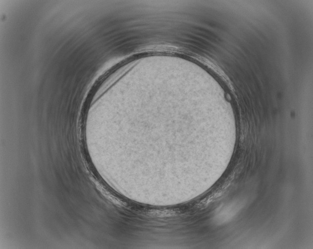 X0000062871037200602101646