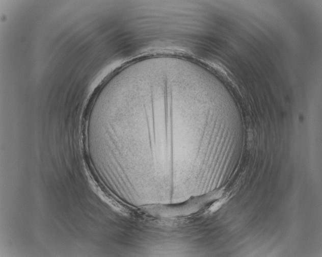 X0000062871038200602101646