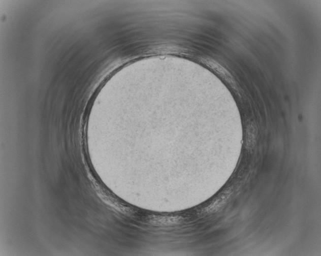 X0000062871039200602101646