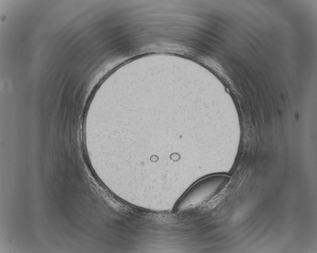 X0000062871040200602101646