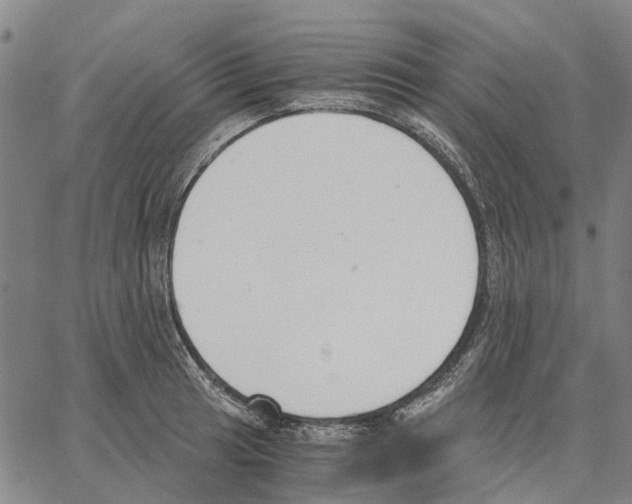 X0000062871041200602101646