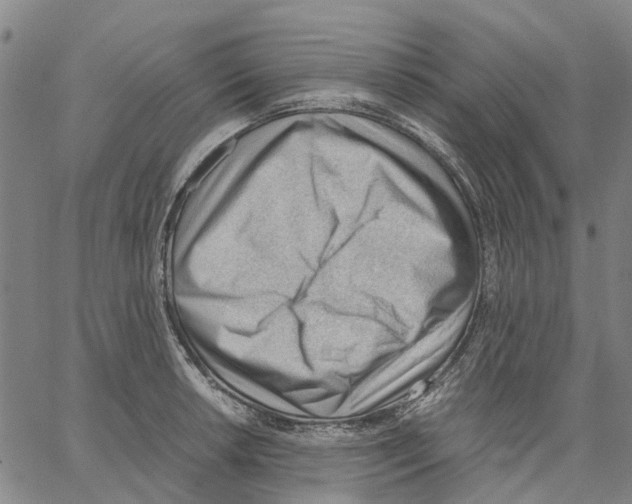 X0000062871042200602101646