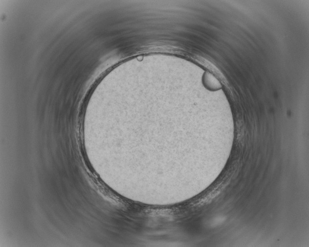 X0000062871043200602101646