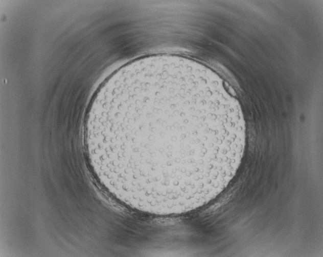 X0000062871044200602101646