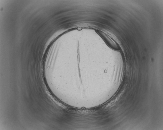 X0000062871045200602101646