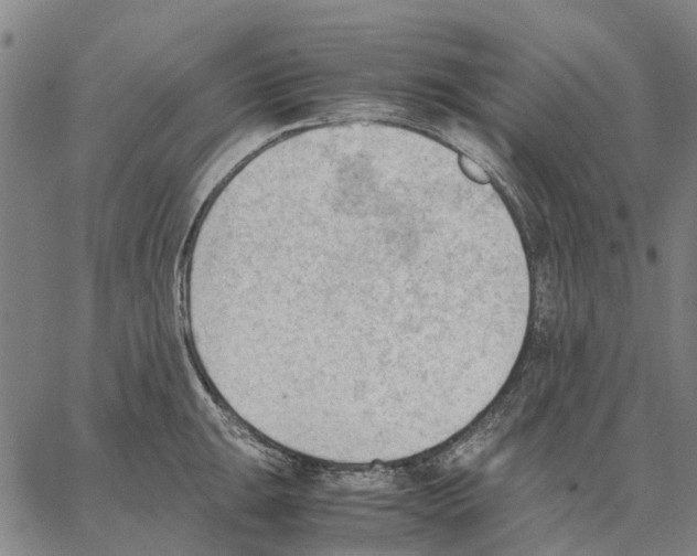 X0000062871047200602101647