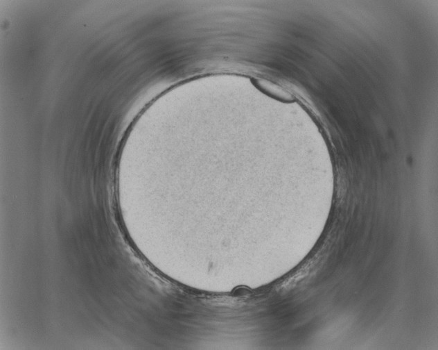 X0000062871048200602101647