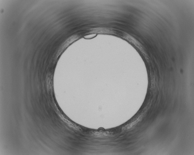 X0000062871049200602101647