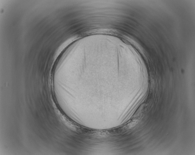 X0000062871050200602101647