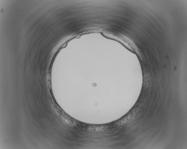 X0000062871051200602101647