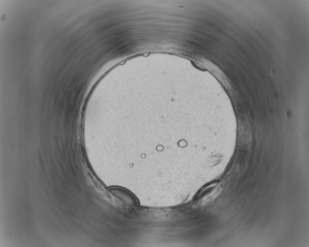 X0000062871052200602101647