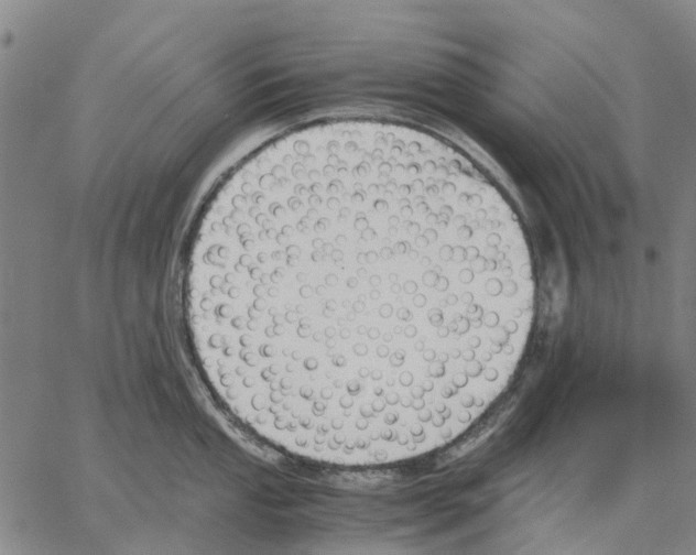 X0000062871053200602101647