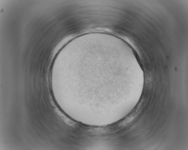 X0000062871054200602101647