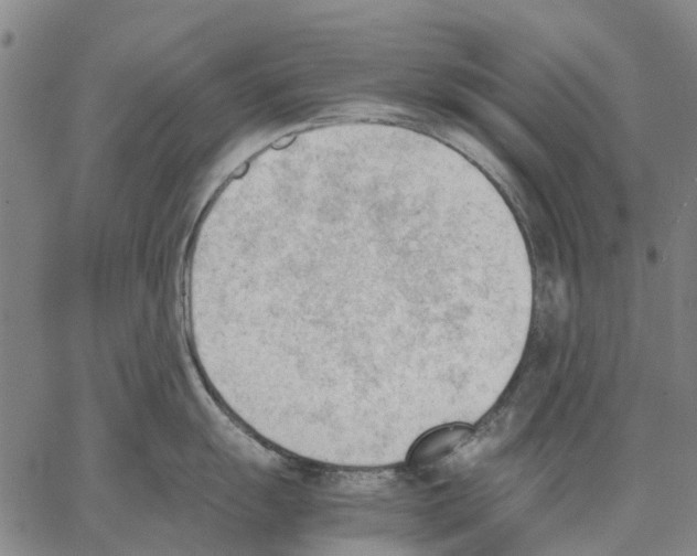 X0000062871055200602101647