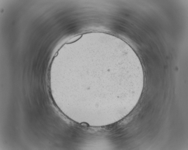 X0000062871056200602101647