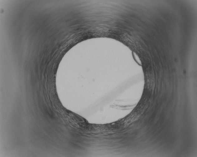 X0000062871057200602101646