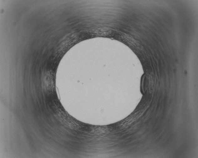 X0000062871058200602101646