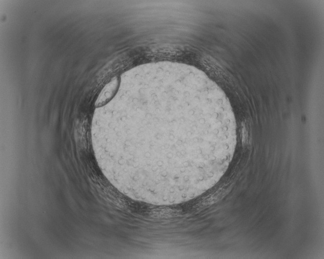 X0000062871059200602101646