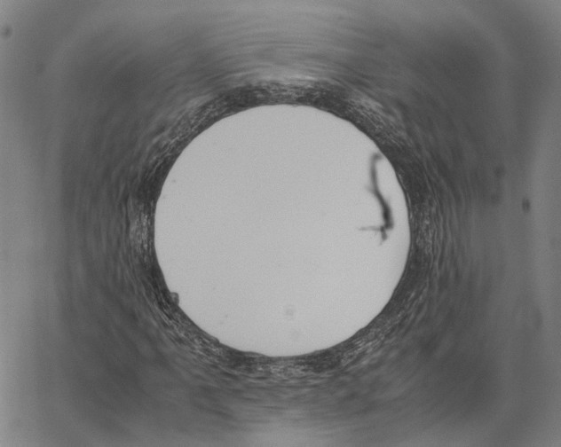 X0000062871061200602101646